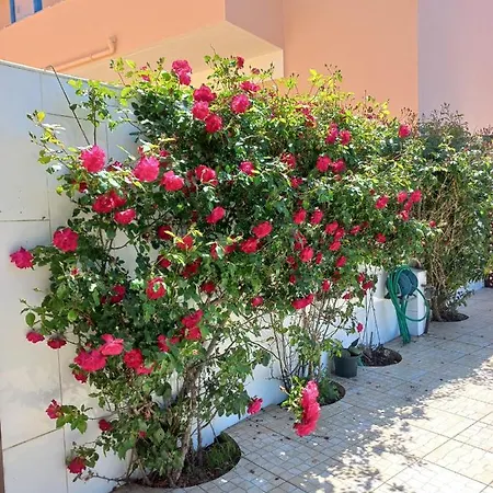 Casa Do Portao Azul - Salmonete شقة *