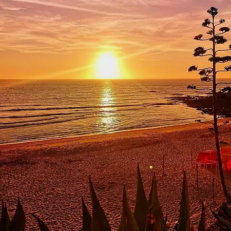 Casa Do Portao Azul - Salmonete شقة *