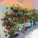 Casa Do Portao Azul - Salmonete Appartamento *