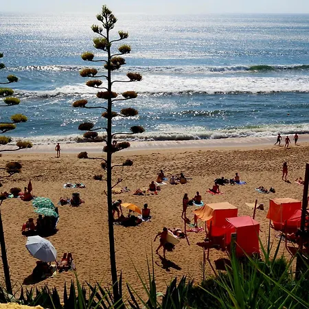 Casa Do Portao Azul - Salmonete