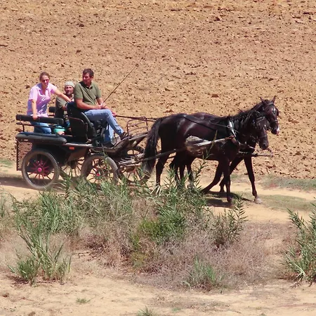 Casa Do Portao Azul - Salmonete *