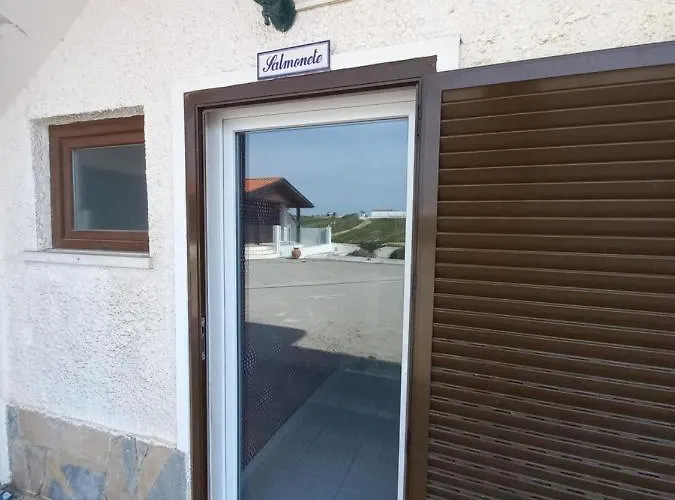 Casa Do Portao Azul - Salmonete アパート *