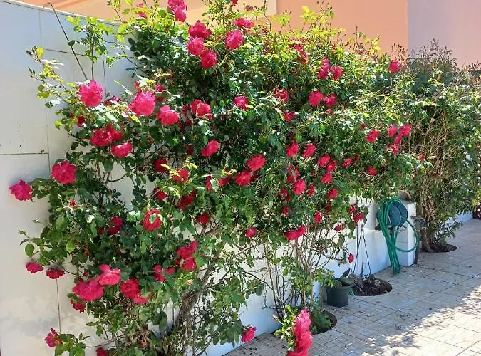 Casa Do Portao Azul - Salmonete アパート *