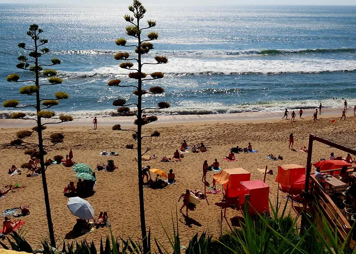 Casa Do Portao Azul - Salmonete