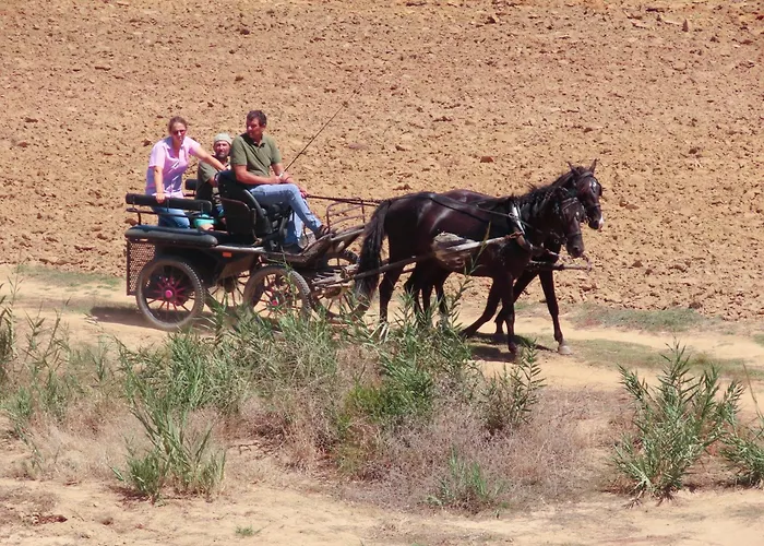 Casa Do Portao Azul - Salmonete *
